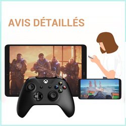 avis-detailles-jeux-videos-en-ligne-favoris